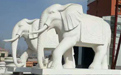 石雕大象適合擺放在哪里？